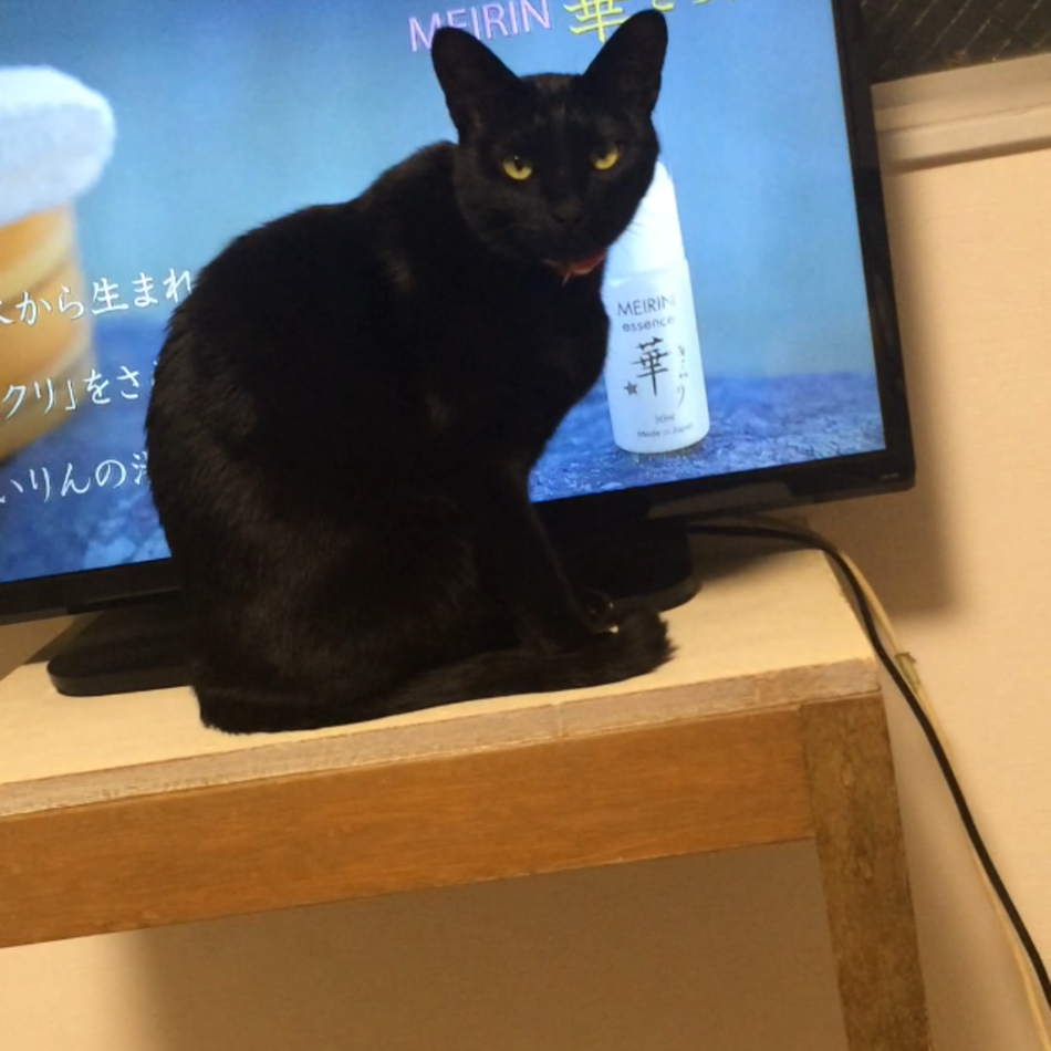 黒豆のカバー写真