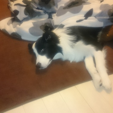 ＷＩＮＤＹの写真