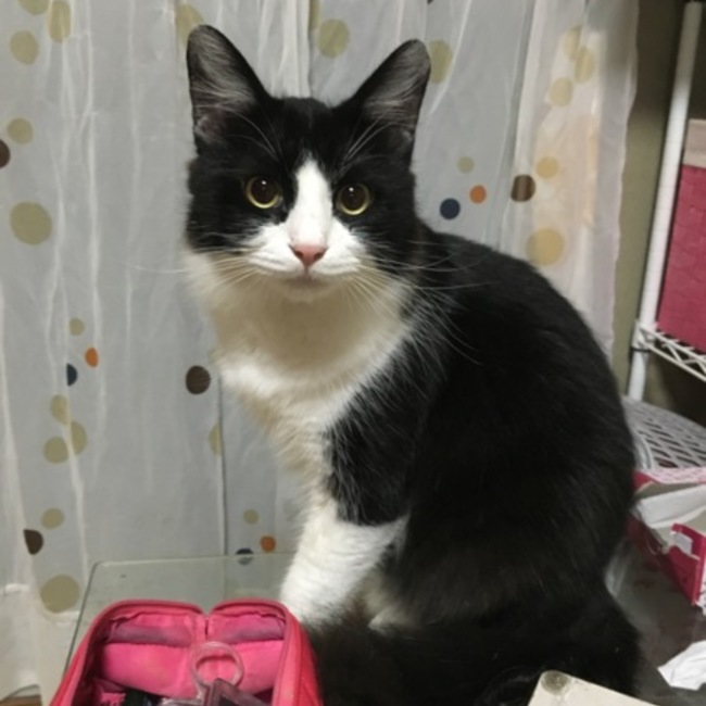 のりちｬんのカバー写真