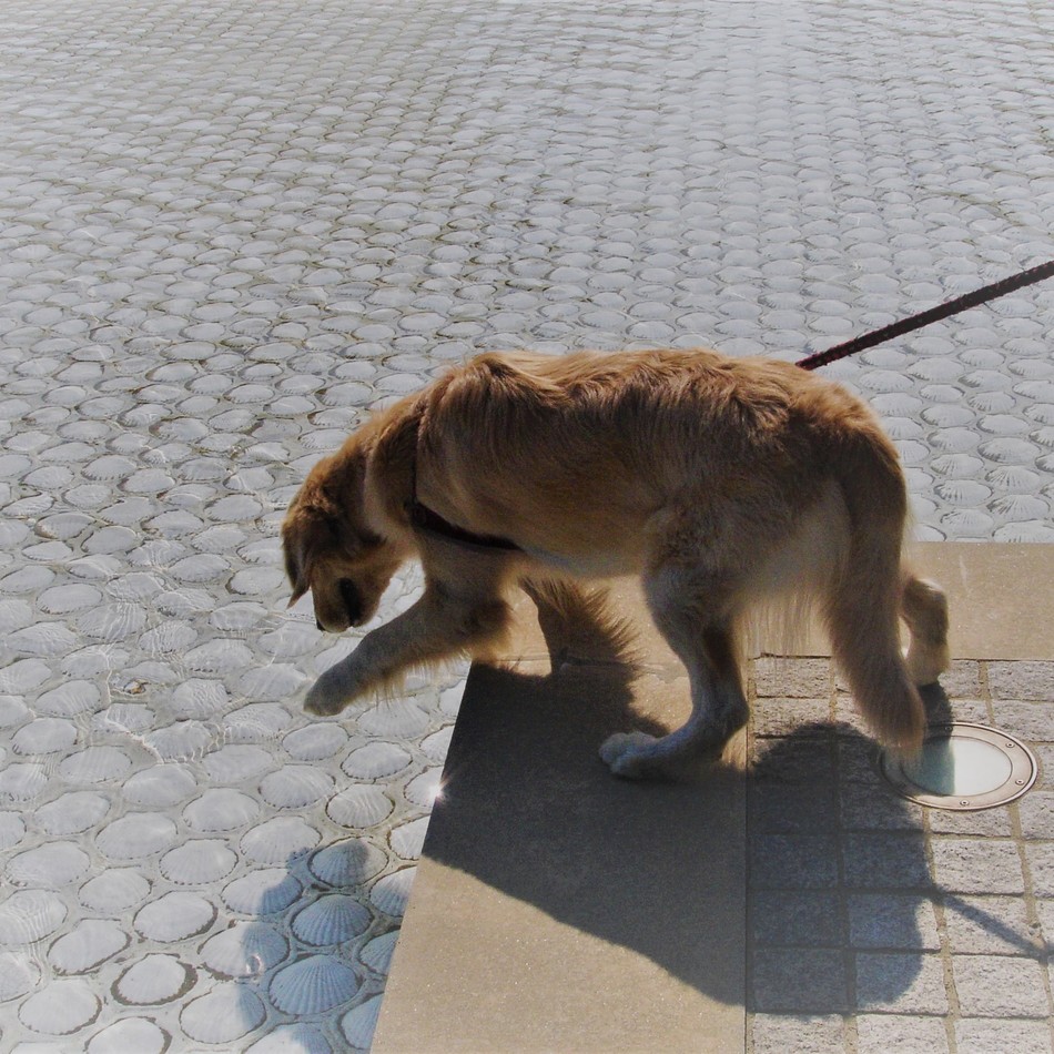 カロンのカバー写真