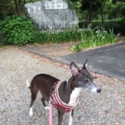 クロエの小冒険