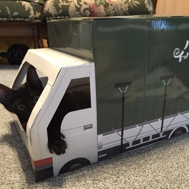 ちかまのカバー写真