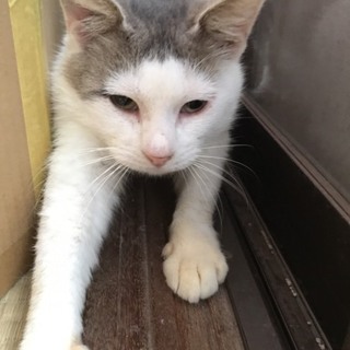 甘えん坊の『モッチー』