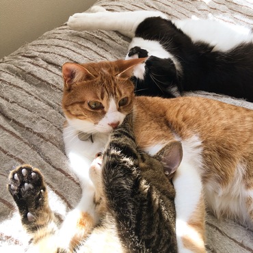 春のひと時(*^_^*)