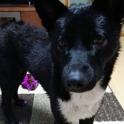 お風呂に入ってすっきり