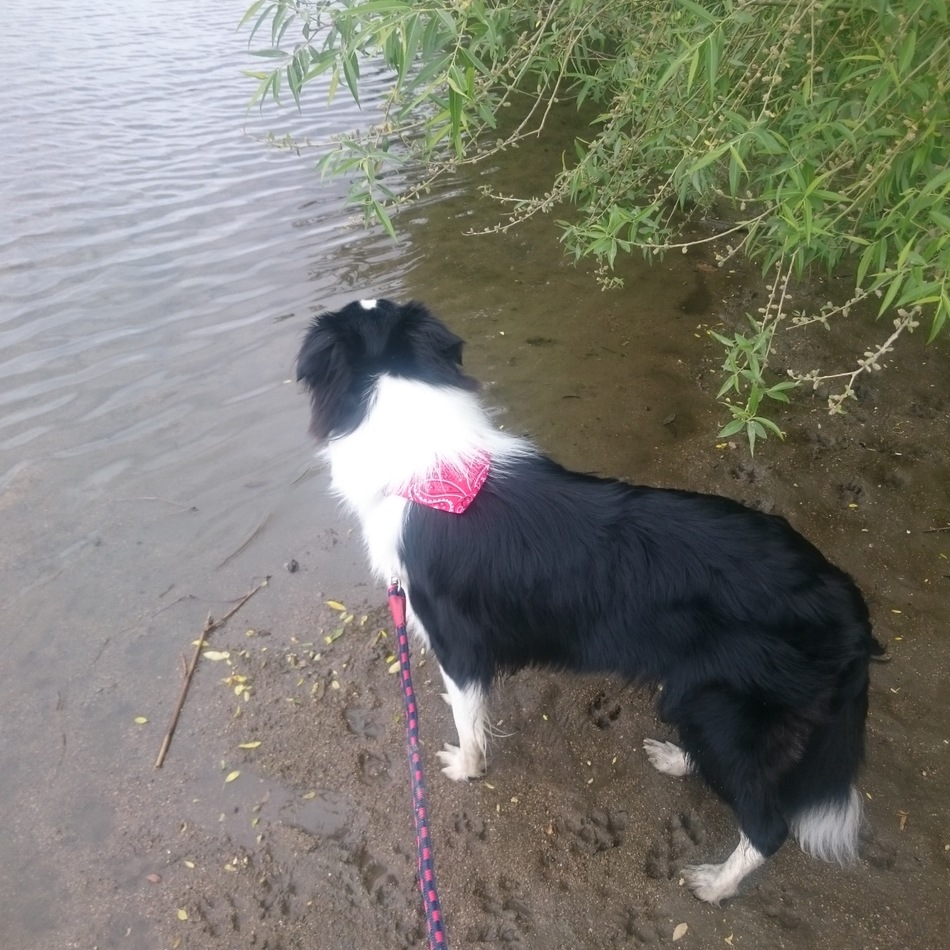 ＷＩＮＤＹのカバー写真