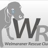 WRCワイマラナーレスキュ...(保護活動者)