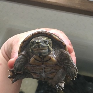 ありがとうございました！