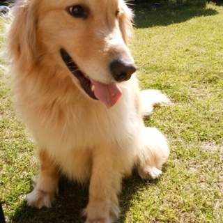 交渉中につき一時停止します