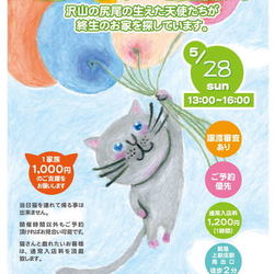 第7回 猫だらけのくすめっと譲渡会
