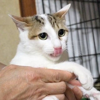 里親さん決定❗️良かったねきき‼️