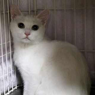 里親さん決定❗️良かったねらら‼️