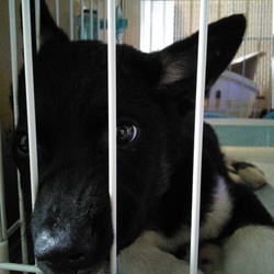 「ようこそ我が家へ！」サムネイル1