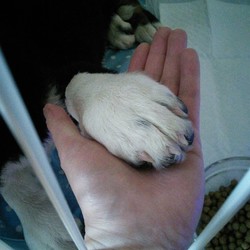 「ようこそ我が家へ！」サムネイル2