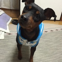 クッキー&マロン