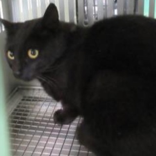 おうちが決まりました！ありがとうございます！