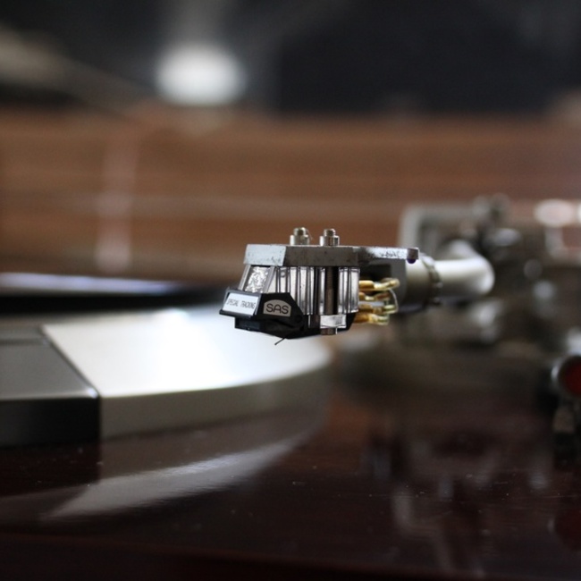 ira_kusaのカバー写真