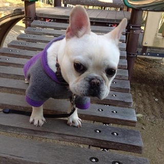 一旦打ち切らせていただきます。