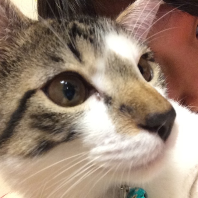 ともみかのカバー写真