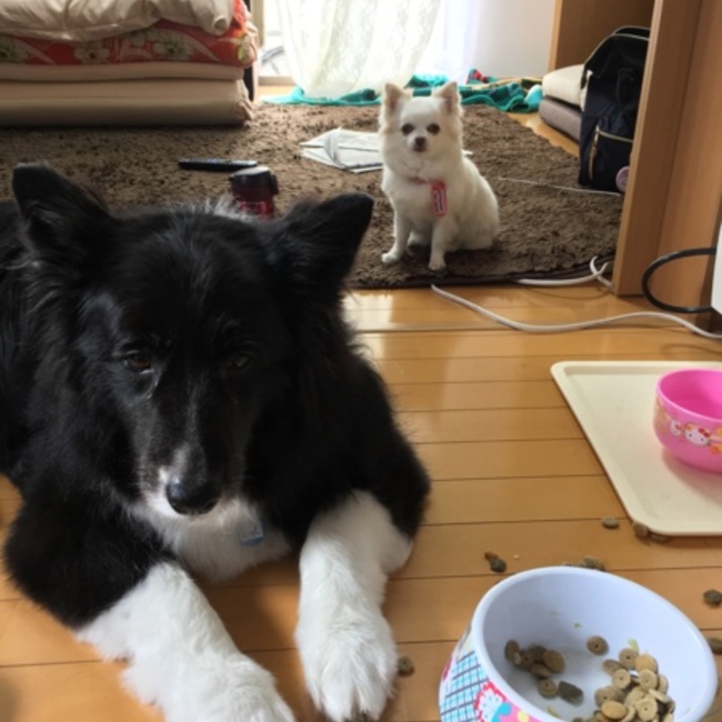 synchro_yumikoのカバー写真