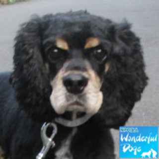 「ムクナ・ベネッティー」♀