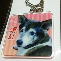 「縷紅」サムネイル2