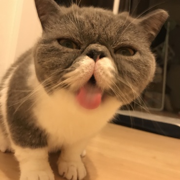 お口ペロペローっ