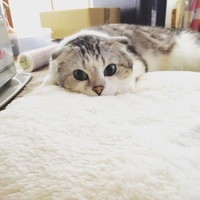 めめ