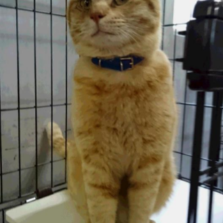 人が大大大好き　かまって―ぇ