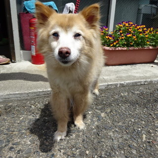 譲渡されました！！