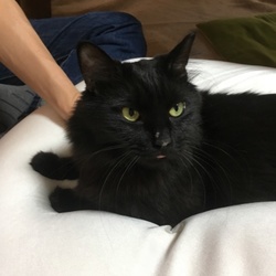 「時雨。」サムネイル2