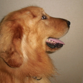 でっかい愛を待ってます