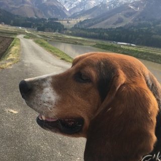 強面ハンサム君です