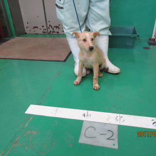 里親様決まりました。。ありがとうございます。