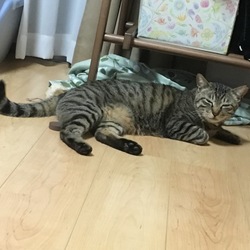 「津雲。」サムネイル2