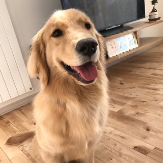 家族として受け入れてくれる方