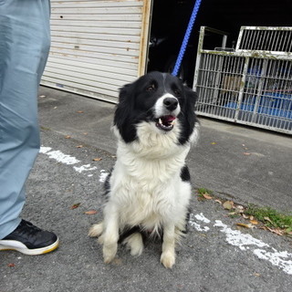 譲渡されたそうです！！