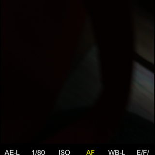 メス 三ヶ月 ラット