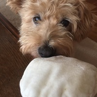 パフ