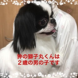 非営利動物保護団体ととのん『ととのんハウス』