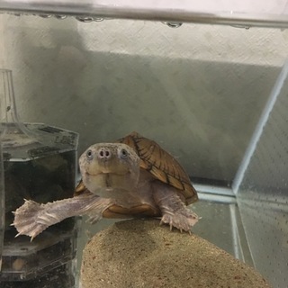 ありがとうございました！