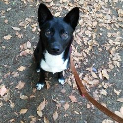 公園のんびり散歩