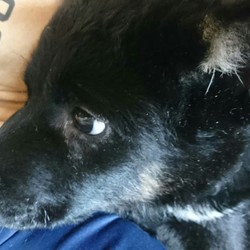 懲りもせず四日目