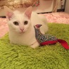 １歳になった りゅうちゃん。(*^^*)