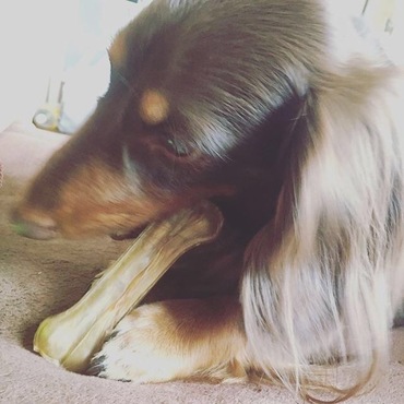 よく食べてよく寝てよく遊ぶ