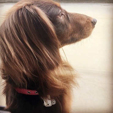 GWは仕事三昧でごめんね！