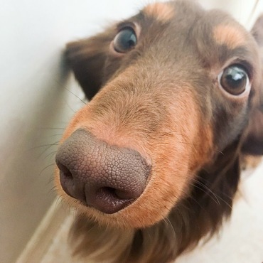 見つめるなよ（笑）最近よくしゃべります