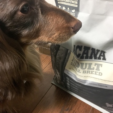 大好きなごはん届いたね！