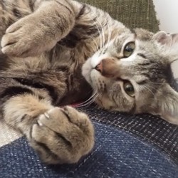 やっと甘えてくれるようになったみたい