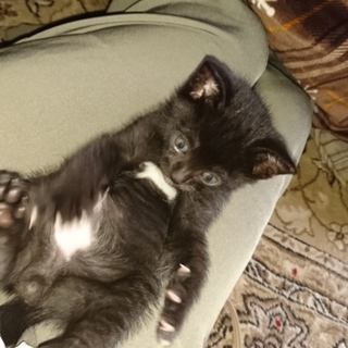 家族になって下さい(^-^)